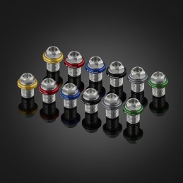 Stainless Bolts Set Mirror Bikers