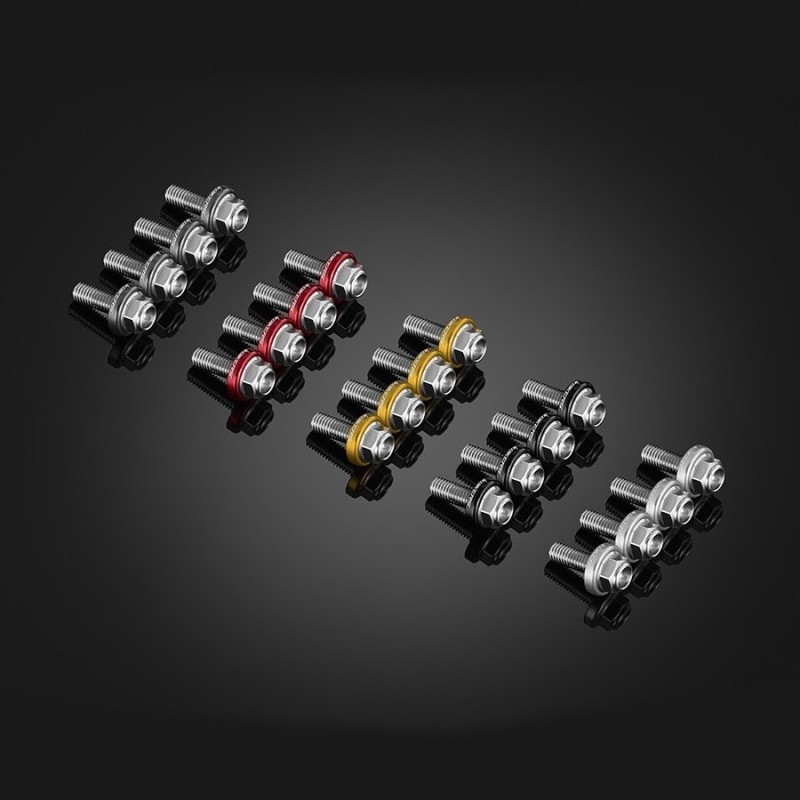 Stainless Bolts Set for Windshield Bikers