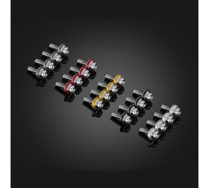 Stainless Bolts Set for Windshield Bikers