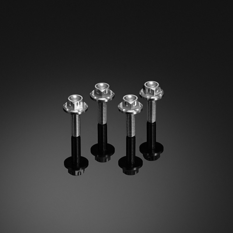 Stainless Bolt Set for Windshield Bikers Motorcycle and Scooter