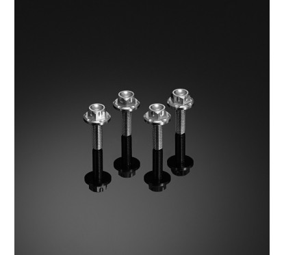 Stainless Bolt Set for Windshield Bikers Motorcycle and Scooter