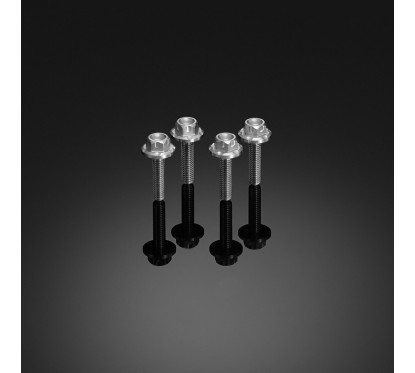 Stainless Bolt Windshield Bikers Motorcycle and Scooter