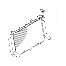 Radiator Kawasaki Z900 2020 2021 2022 2023