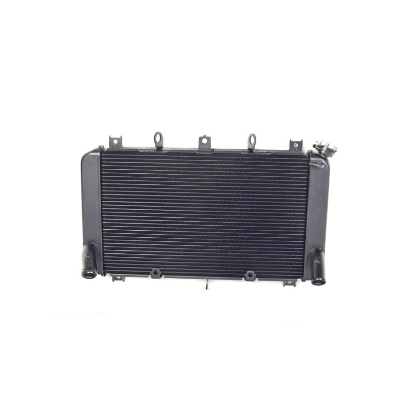 Radiator Kawasaki Z900 2020 2021 2022 2023