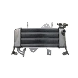 Radiateur Yamaha YZF R15 / R15M BK6-E2460-01