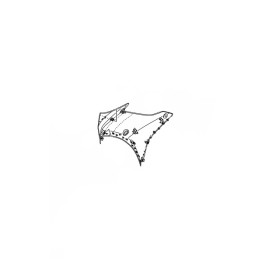 Carénage Avant Droit Yamaha YZF R15 / R15M BDJ-F835V-00