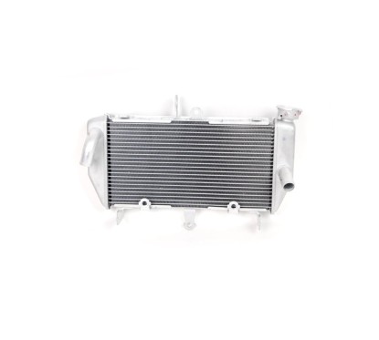 Radiateur Yamaha MT-03 / MT-25 B04-E2461-00