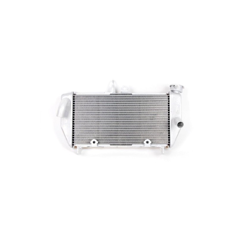 Radiateur Yamaha YZF R3 2019/24