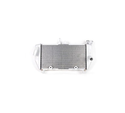 Radiator Yamaha YZF R3 2019 2020 2021 2022 2023 2024 1WD-E2461-00