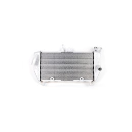 Radiateur Yamaha YZF R3 / R25 1WD-E2461-00