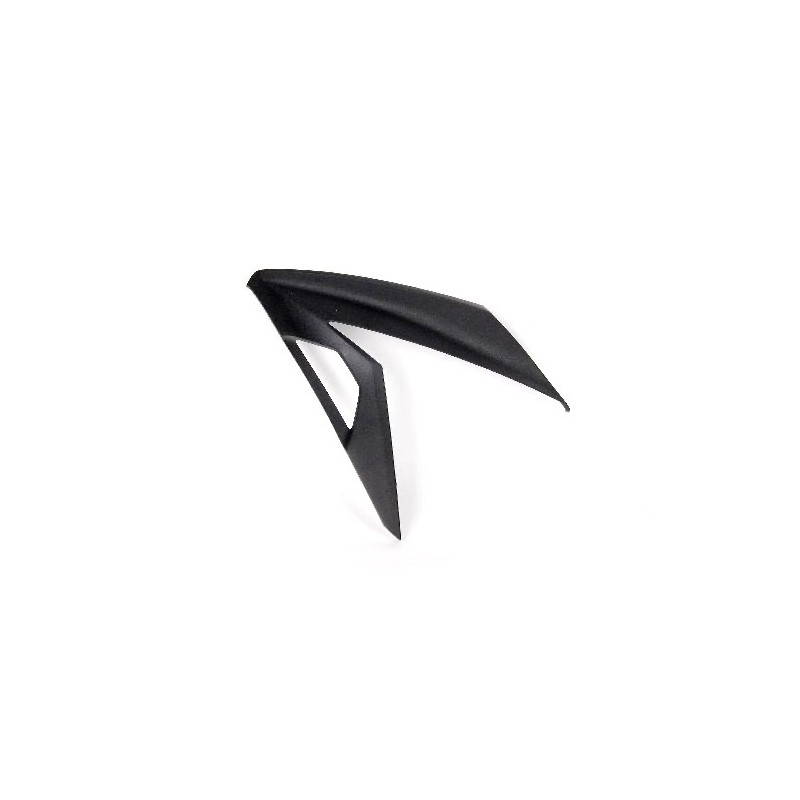 Cowling Left Side Kawasaki Ninja 300