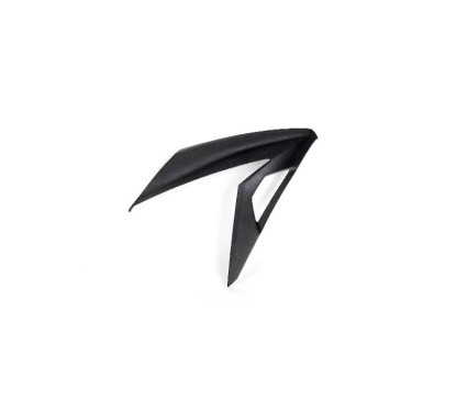 Cowling Right Side Kawasaki Ninja 300 55028-0419