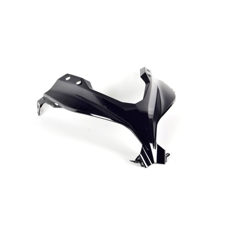 Carénage Face Avant Kawasaki Ninja 300
