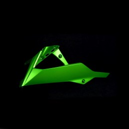 Carénage Inférieur Gauche Kawasaki Z250 55028-0462