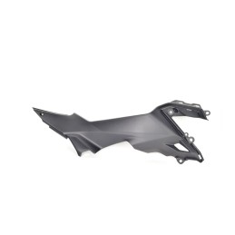 Couvre Genou Droit Kawasaki Z650 14093-0614