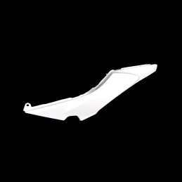 Carénage Arrière Gauche Kawasaki Z650 36041-0033