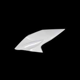 Carénage Face Avant Gauche Kawasaki Z800 55028-0431