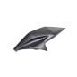 Cowling Upper Left Side Kawasaki Z800