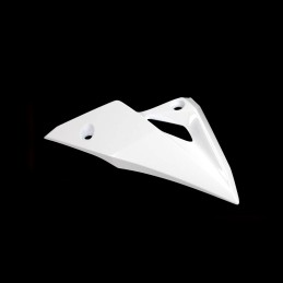 Cowling Lower Right Kawasaki Z800 55028-0434