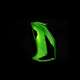 Carénage Flanc Avant Gauche Kawasaki ER6f Ninja 650