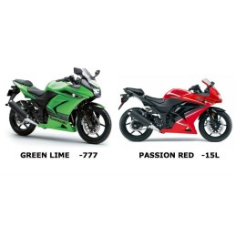 Couleur Kawasaki Ninja 250R