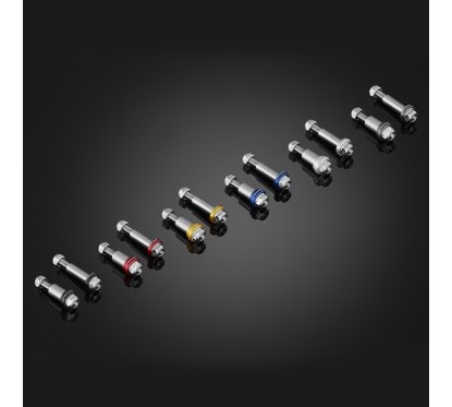 Stainless Bolts For Levers Bikers Honda CB650R