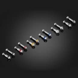 Stainless Bolts For Levers Bikers Honda CBR 650F