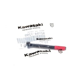 Boulon, Douille 6X55 Kawasaki 92154-1299