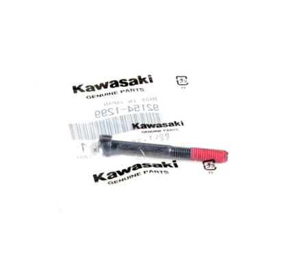 Bolt, Socket 6X55 Kawasaki 92154-1299