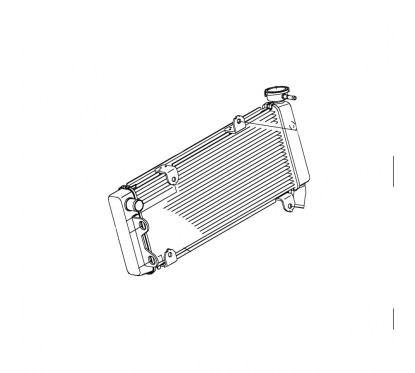 Radiator Kawasaki Versys 650 2022 2023 2024 2025 39060-0750