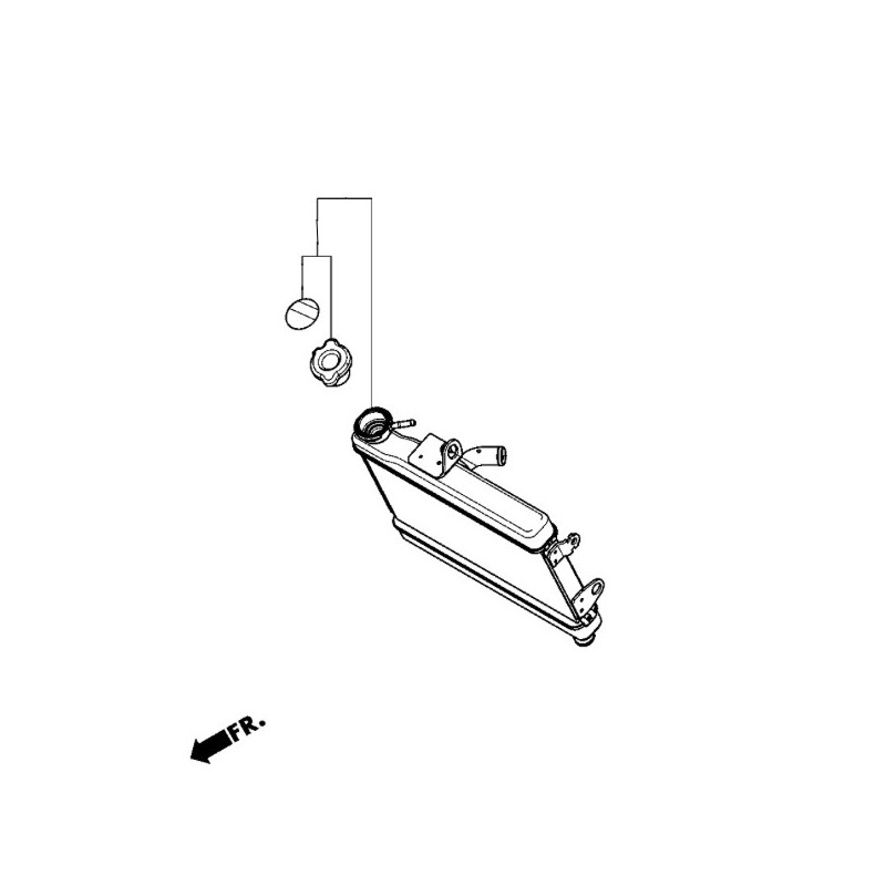 Radiator Honda CL500 2023 2024