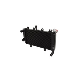 Radiator Kawasaki Z400 39061-0921