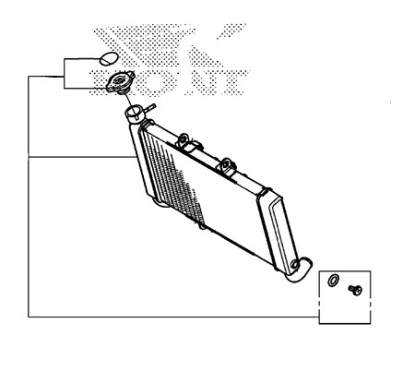 Radiator Honda CBR650R 2024 2025