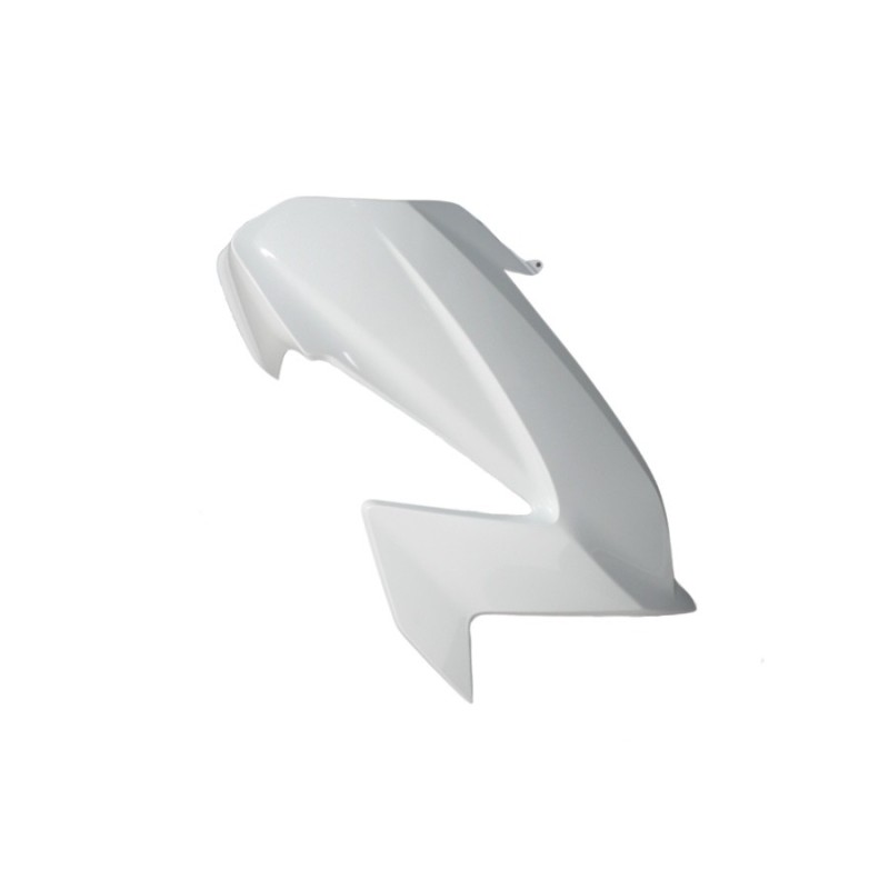 Cover Right Front Honda Forza 125 2021 Cover Right Front Honda Forza 125 2021