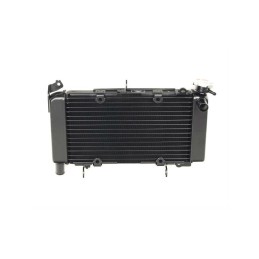 Radiateur Honda CB500F 2016 2017 2018 19010-MJW-T51