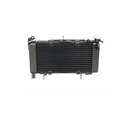 Radiator Honda CB500X 2016 2017 2018 19010-MJW-T91
