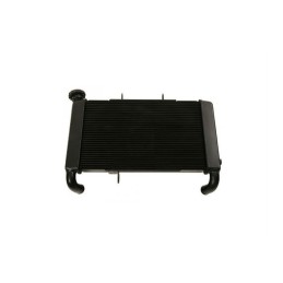 Radiateur Complet Honda CBR650F 2017 2018 19010-MJE-T11