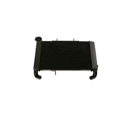 Radiator Complete Honda CBR 650F 19010-MJE-T11
