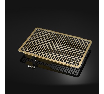 Titanium Radiator Guard Bikers Honda CB650R