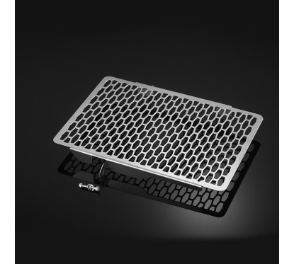 Stainless Radiator Guard Bikers Honda CB650R