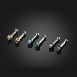 Stainless Bolt Levers Bikers Kawasaki Z900RS