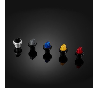 Gear Oil Filler Plug Cover Bikers Yamaha XMAX 300