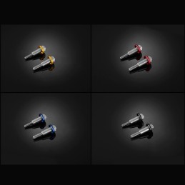 Stainless Bolts Levers Bikers BMW G310R