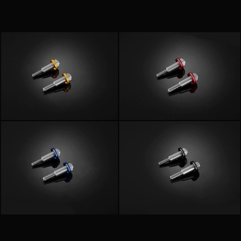 Stainless Bolts Levers Bikers BMW G310R