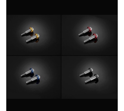 Vis Stainless Leviers Bikers BMW G310R