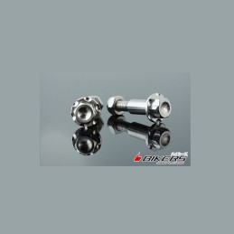Stainless Bolt for Levers Bikers Kawasaki Z1000