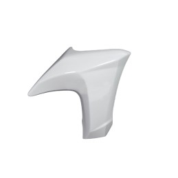 Ecope Avant droit Kawasaki ER6n 650 49125-0555