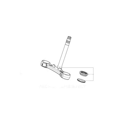 T de Fourches Honda CB 500 HORNET 2024 2025