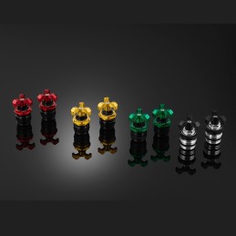 Ajusteur de Fourches Bikers Kawasaki Z300 / Z250