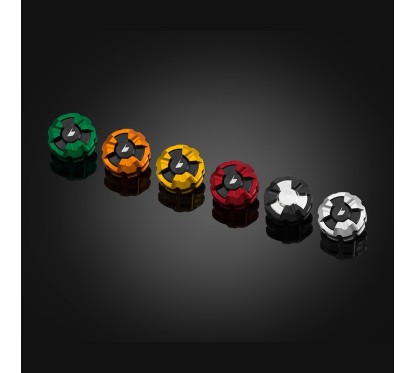 Bouchon Maitre Cylindre Arrière Bikers Kawasaki Z300 / Z250